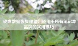硬盘数据恢复秘籍：适用于所有笔记本品牌的实用技巧！