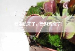 云手机来了，云游戏涨了！