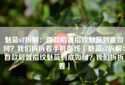 魅蓝6T拆解：首款后置指纹魅蓝到底如何？我们拆拆看手机排线「魅蓝6T拆解：首款后置指纹魅蓝到底如何？我们拆拆看」