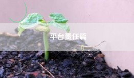 平台责任篇
