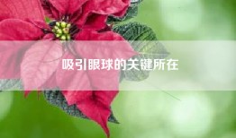 吸引眼球的关键所在