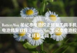 BatteryMon 笔记本电池校正修复工具手机电池修复软件「BatteryMon 笔记本电池校正修复工具」