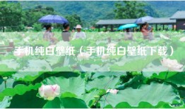 手机纯白壁纸（手机纯白壁纸下载）
