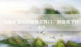 马斯克曝光的推特文件门，到底说了什么？