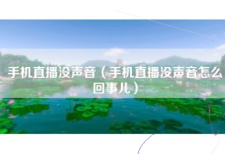 手机直播没声音（手机直播没声音怎么回事儿）
