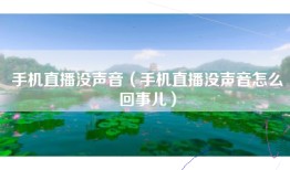 手机直播没声音（手机直播没声音怎么回事儿）