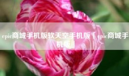 epic商城手机版软天空手机版「epic商城手机版」