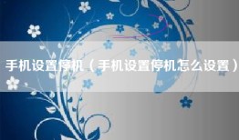 手机设置停机（手机设置停机怎么设置）