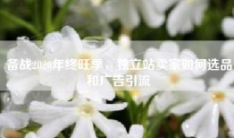 备战2020年终旺季，独立站卖家如何选品和广告引流