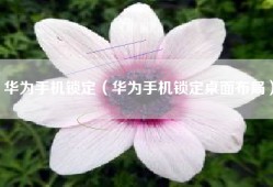 华为手机锁定（华为手机锁定桌面布局）
