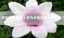 华为手机锁定（华为手机锁定桌面布局）