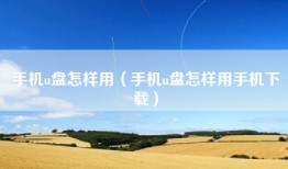 手机u盘怎样用（手机u盘怎样用手机下载）