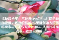 揭秘段永平：不仅是OPPO和vivo共同的神秘老板，还是位股神vivo手机创始人「揭秘段永平：不仅是OPPO和vivo共同的神秘老板，还是位股神」