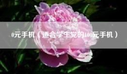 0元手机（适合学生党的100元手机）