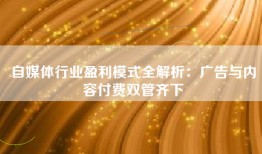 自媒体行业盈利模式全解析：广告与内容付费双管齐下
