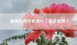 最美应用手机美化「最美应用」