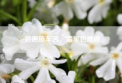 尝遍造车苦，雷军也难逃