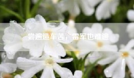 尝遍造车苦，雷军也难逃