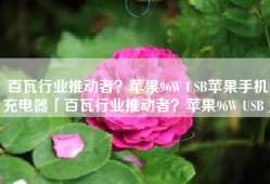 百瓦行业推动者？苹果96W USB苹果手机充电器「百瓦行业推动者？苹果96W USB」