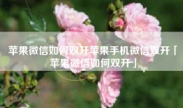 苹果微信如何双开苹果手机微信双开「苹果微信如何双开」