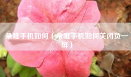 朵唯手机如何（朵唯手机如何关闭负一屏）