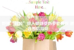 野猪“行凶”致人眼球受伤多处骨折 遭合围后溺毙