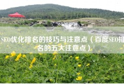 SEO优化排名的技巧与注意点（百度SEO排名的五大注意点）