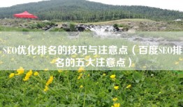SEO优化排名的技巧与注意点（百度SEO排名的五大注意点）