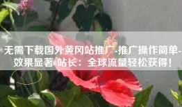 无需下载国外黄冈站推广-推广操作简单-效果显著-站长：全球流量轻松获得！