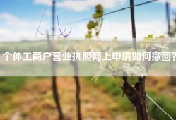 个体工商户营业执照网上申请如何撤回？