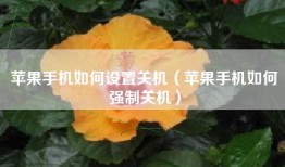苹果手机如何设置关机（苹果手机如何强制关机）