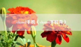chanel手机（chanel手机壳）