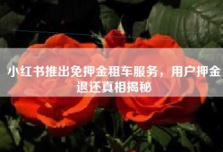 小红书推出免押金租车服务，用户押金退还真相揭秘