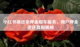 小红书推出免押金租车服务，用户押金退还真相揭秘