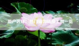 用户选择：热门磁力链接工具一览