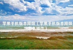苹果手机版本降级（苹果手机版本降级怎么操作）
