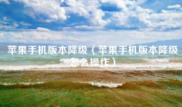 苹果手机版本降级（苹果手机版本降级怎么操作）