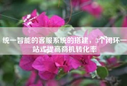 统一智能的客服系统的搭建，3个闭环一站式提高商机转化率