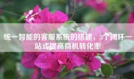 统一智能的客服系统的搭建，3个闭环一站式提高商机转化率