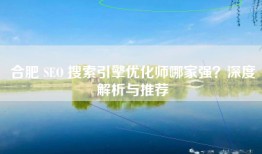 合肥 SEO 搜索引擎优化师哪家强？深度解析与推荐