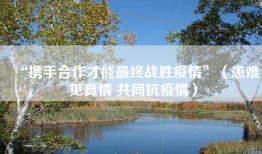 “携手合作才能最终战胜疫情”（患难见真情 共同抗疫情）