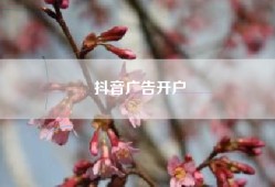 抖音广告开户