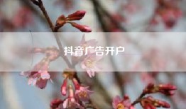 抖音广告开户