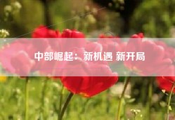 中部崛起：新机遇 新开局