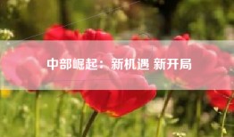 中部崛起：新机遇 新开局