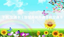 手机 交通卡（智慧苏州开通手机交通卡）