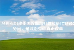 马斯克组建美国效率部打算裁员1771万公务员，是政治秀OR真正改革