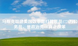马斯克组建美国效率部打算裁员1771万公务员，是政治秀OR真正改革