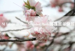 NI Image Display Snapshot Mode图像显示快照模式