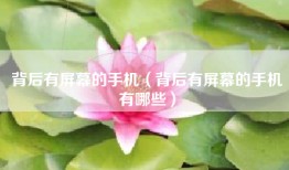 背后有屏幕的手机（背后有屏幕的手机有哪些）